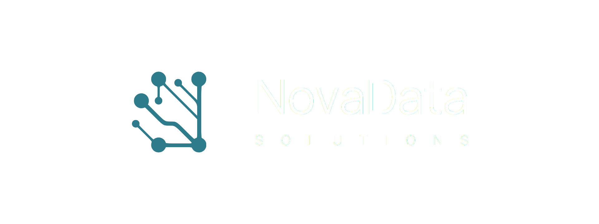 NovaData Solutions